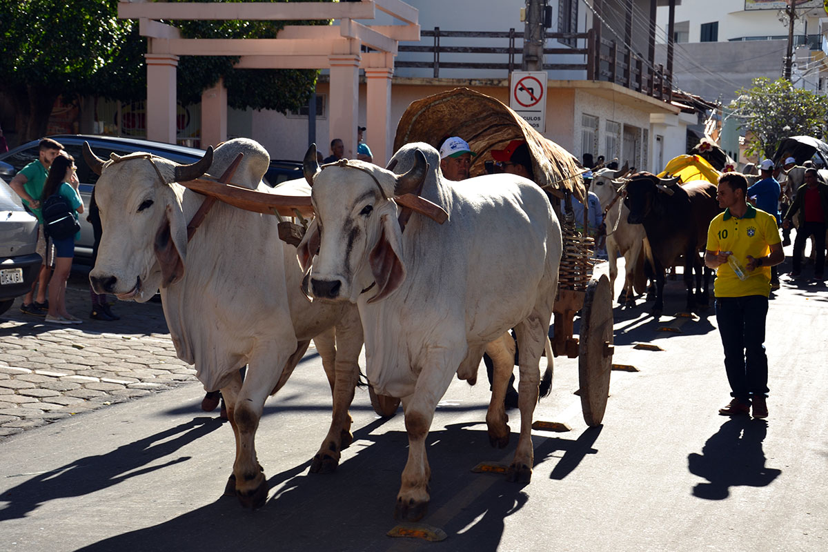 Festa de Santana 2018: procissão de carros de boi em Caetité