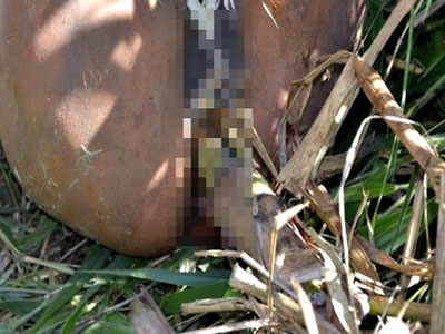 Mulher é estuprada e morta com cana de açucar introduzida na vagina