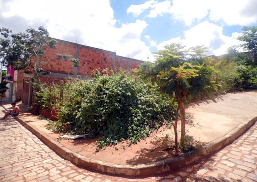 Galeria