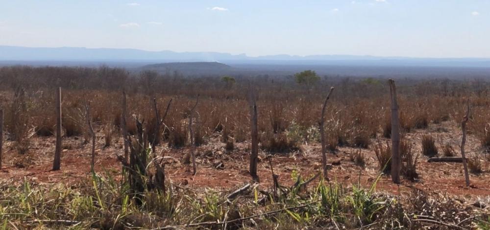 Vegetação seca e queimadas intensificam riscos de novos focos de incêndios na Chapada Diamantina