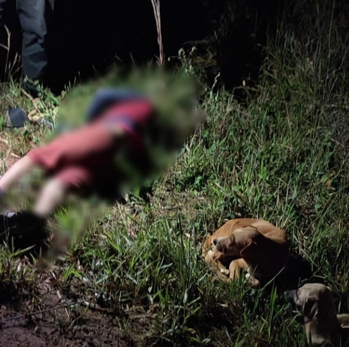 Sudoeste baiano: Homem morre em trágico acidente de trânsito em Barra do Choça