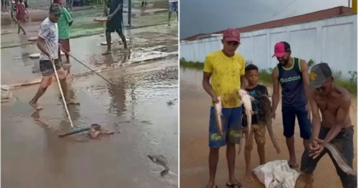 Após chuva, moradores encontram peixes nas ruas de Ipiaú 