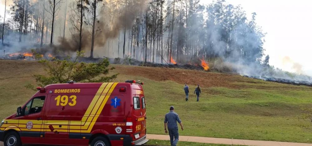 Avião cai em área de mata e sete pessoas morrem no interior de SP