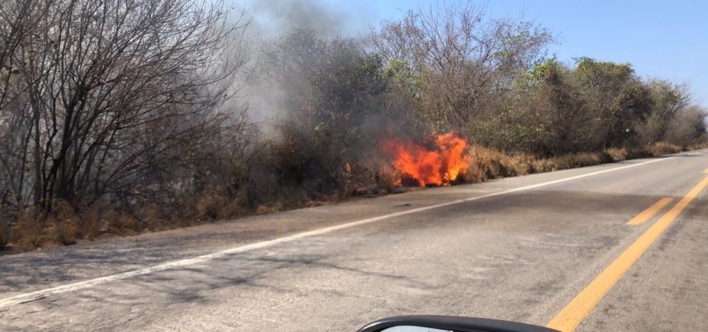 Três incêndios florestais são extintos e bombeiros seguem combates na Bahia