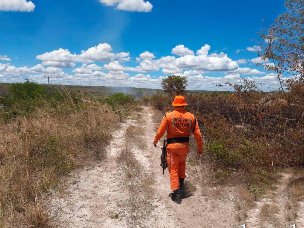 ‘Bahia Sem Fogo’, programa do Governo Estadual, visa combater incêndios florestais
