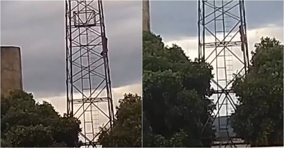 Região: Após ataque de abelhas, homem cai de torre de telefonia