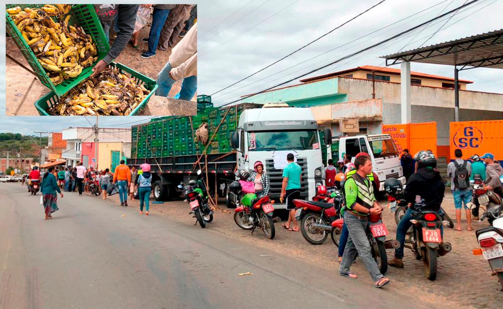 Para não perder carga, produtor de banana promove a distribuição para moradores de Caetité 