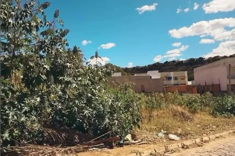 Terreno baldio é usado para encontros sexuais e preocupa moradores em Caetité