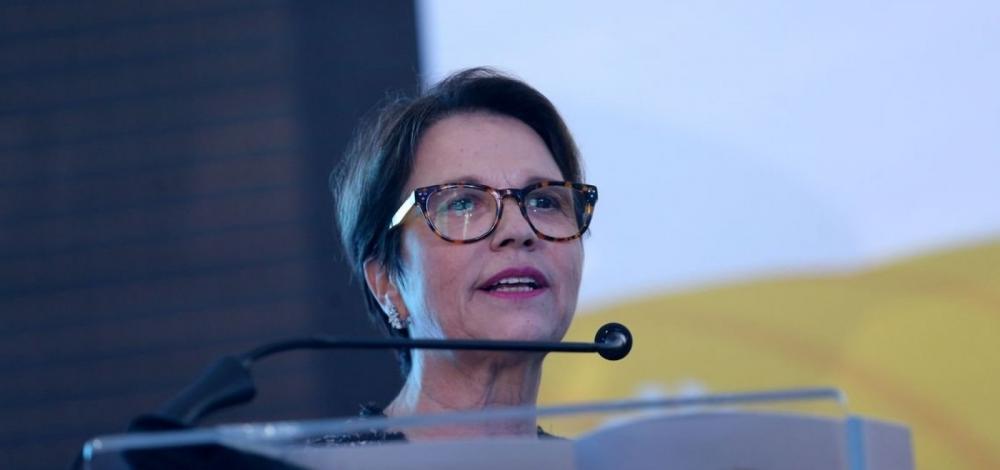 Ministra diz que vai liberar mais agrotóxicos para o Brasil ‘entrar na modernidade’