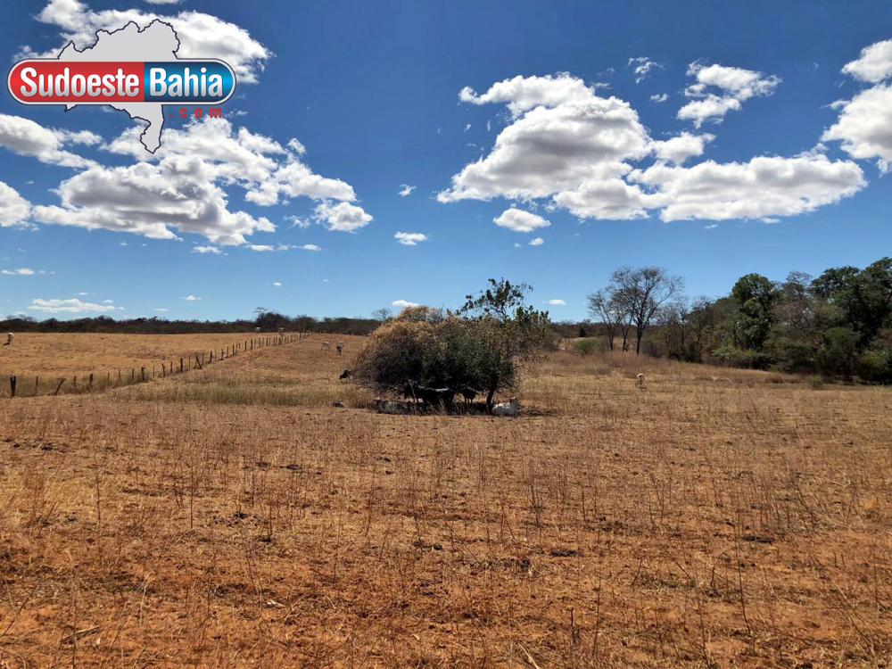 Novembro terá chuvas abaixo da média no Norte e Nordeste, prevê Inmet
