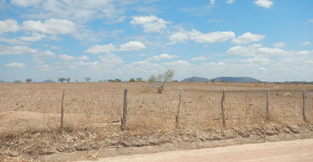 Governo cria plano de ações para enfrentamento da seca na Bahia; 123 cidades estão sendo atendidas