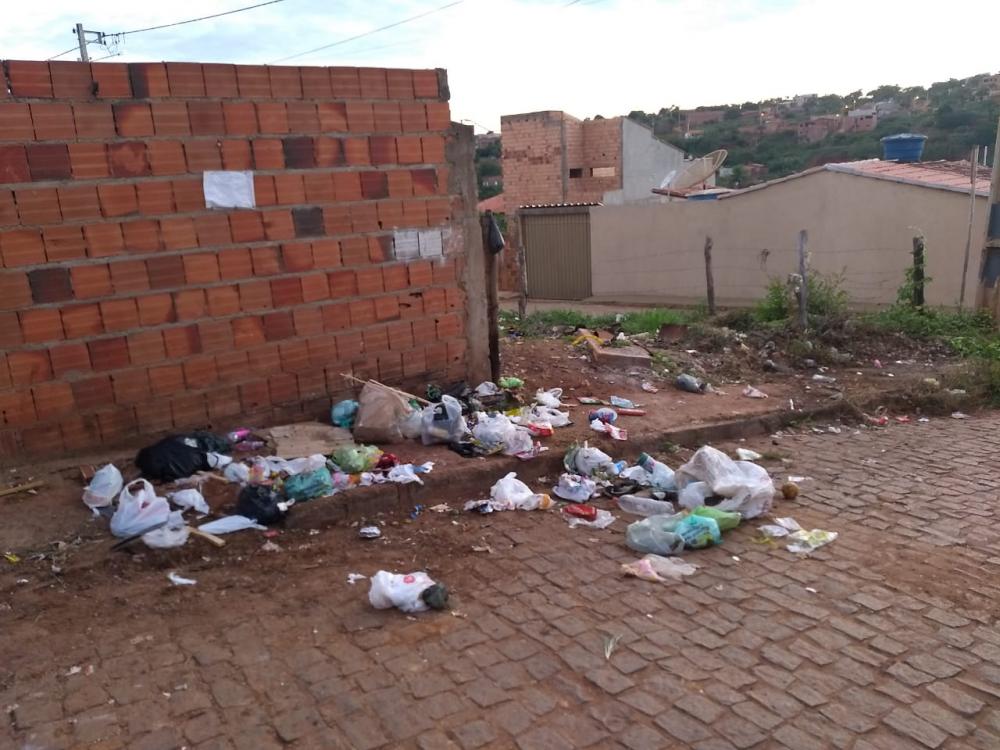 Lixo acumulado atrai insetos no Bairro Pedro Cruz, em Caetité