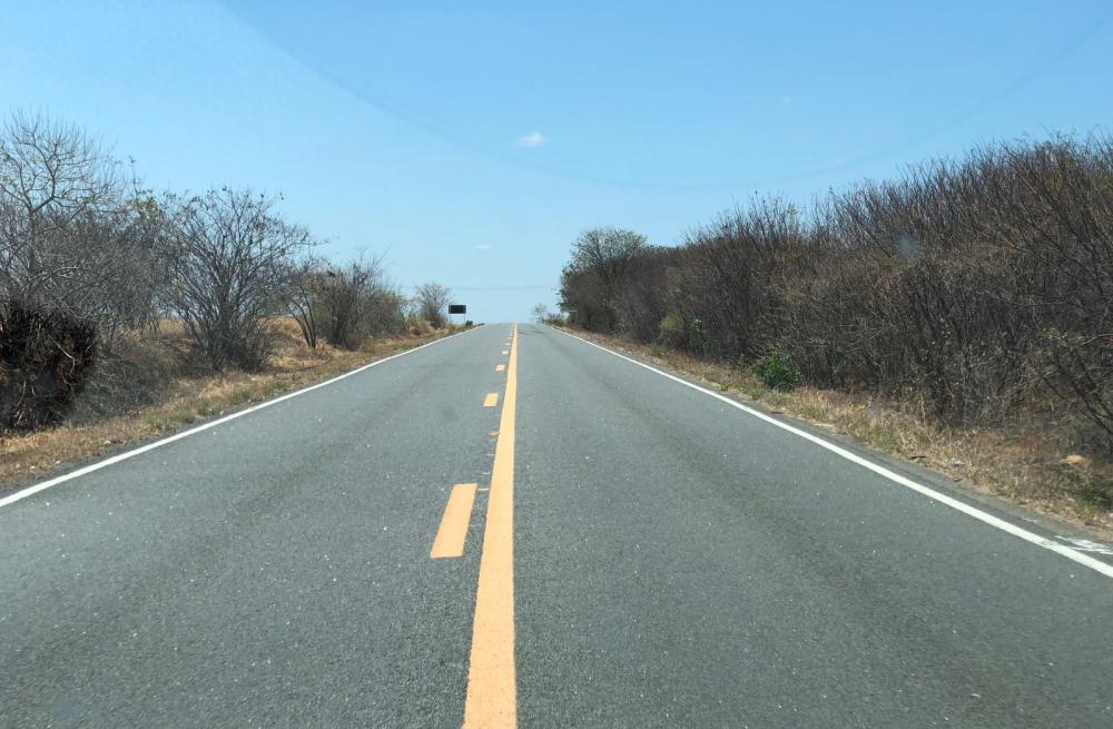 Corpo em decomposição é encontrado próximo à BR-030, em Malhada de Pedras