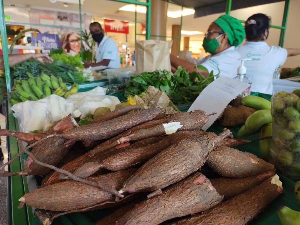 Riacho de Santana: Reforma de agroindústria gera aumento em vendas de produtos da mandioca