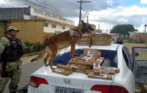 Caesg e PF prendem homem com 95 quilos de maconha prensada