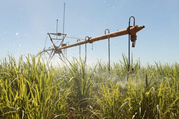 PIB do agronegócio baiano soma R$ 18,4 bilhões no terceiro trimestre