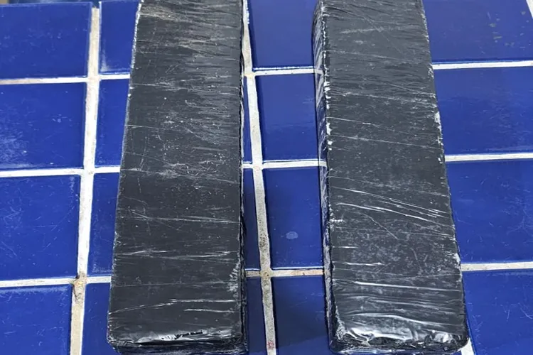 Polícia apreende dois tabletes de maconha em ônibus na BR-030, em Rio do Antônio