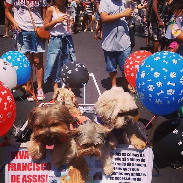 Dia de São Francisco de Assis é celebrado com procissão e bênçãos aos animais em Caetité