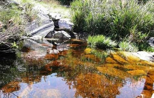 Chuvas retornam e nascente do São Francisco volta a jorrar água