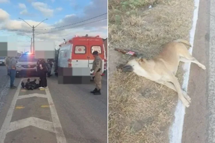 Motociclista fica ferido após atropelar cachorro na BR‑030, em Guanambi