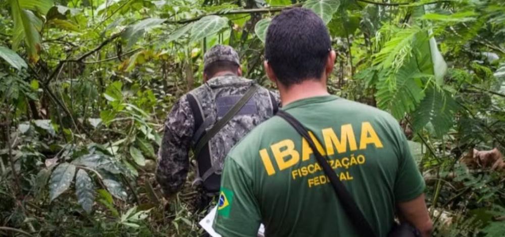 Concurso do Ibama abre 460 vagas com salários de até R$ 9,9 mil