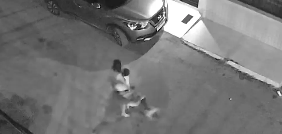 Criança autista é atacada por pitbull em Itabuna