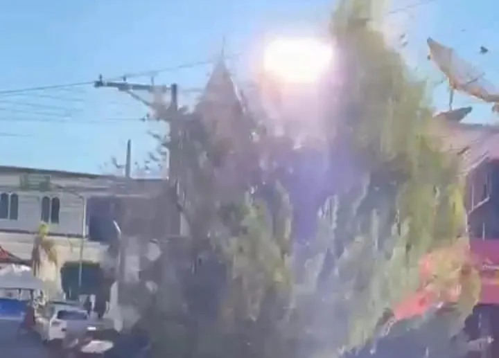 Morador é multado em R$ 100 mil por corte ilegal de árvores em Caetité