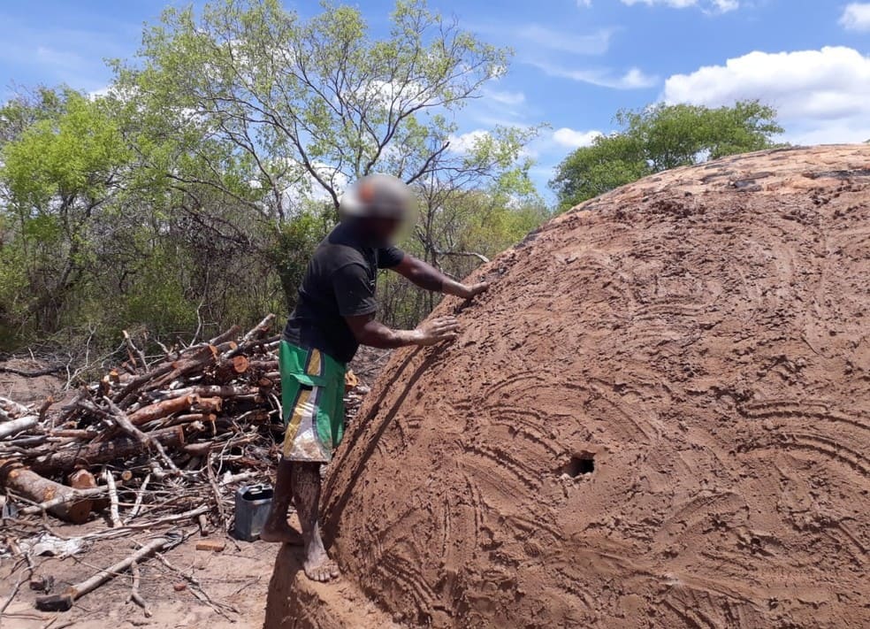 Trabalhadores de Palmas de Monte Alto são resgatados de carvoaria no Piauí em situação degradante 