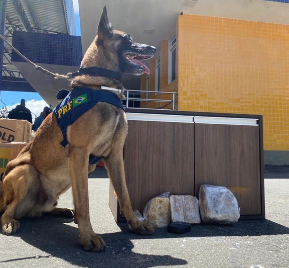 Região: PRF apreende quase um quilo e meio de ‘supermaconha’ 