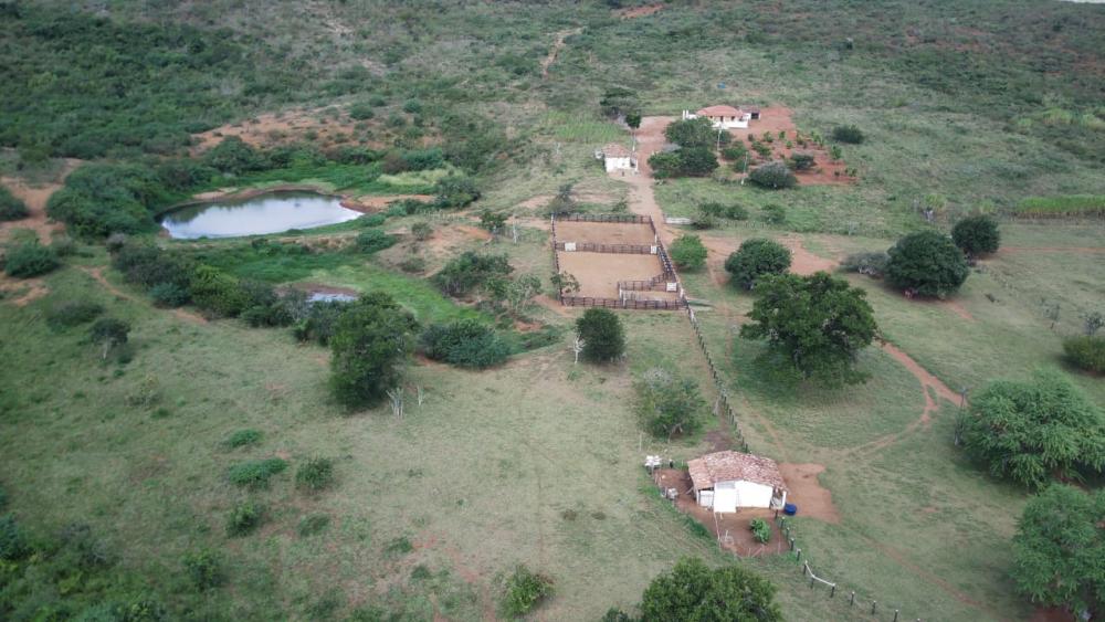 El Patrón: 45 propriedades rurais que seriam usadas para lavagem de dinheiro são apreendidas