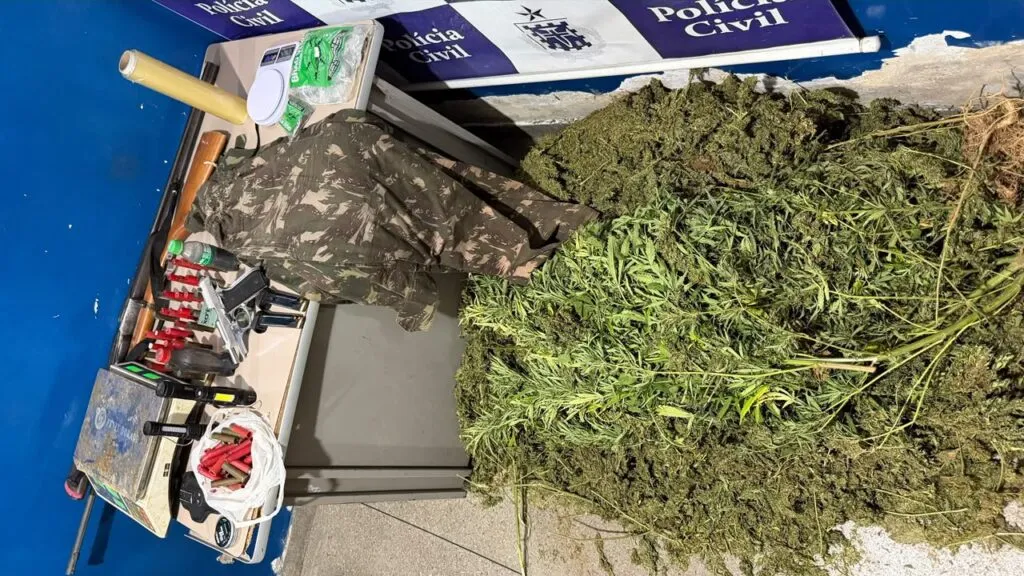 Homem morre em confronto durante ação policial em área com plantação de maconha em Ibotirama