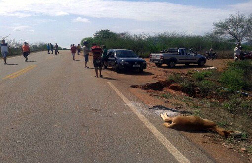Boquira: Motociclistas morrem após colidir em animais e serem atropelados na BA-156