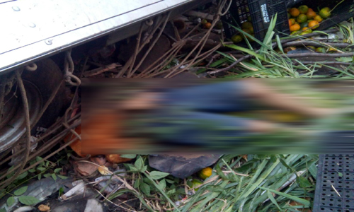 Caminhoneiro morre ao cair em ribanceira na BA-148 