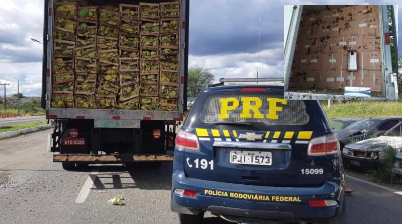 Sudoeste baiano: carregamento de cigarros contrabandeados avaliado em mais de 1 milhão de reais é apreendido pela PRF