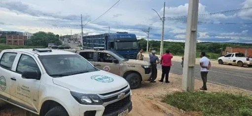 Caminhão boiadeiro é interceptado após fugir de fiscalização em Urandi