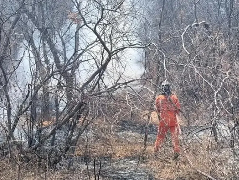 Bombeiros combatem fogo em matagal e em ônibus em Bom Jesus da Lapa