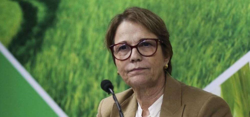 Ministra diz que liberação de agrotóxicos não traz riscos à saúde