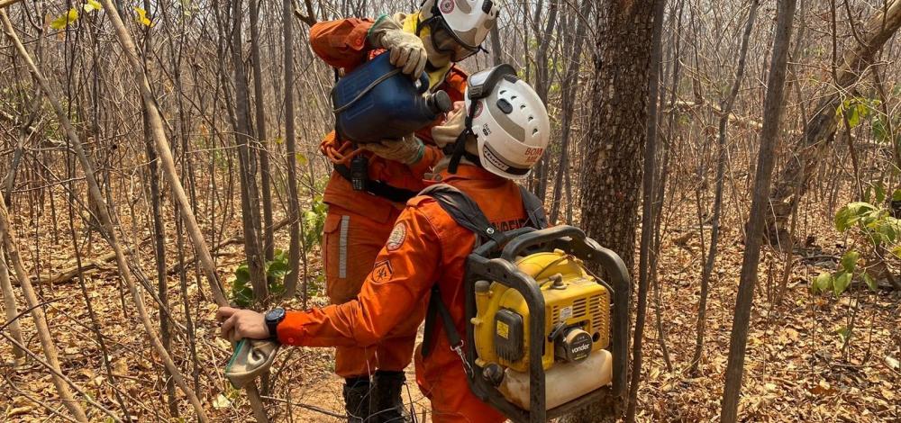 Dez aeronaves atuam no combate a incêndios no interior da Bahia
