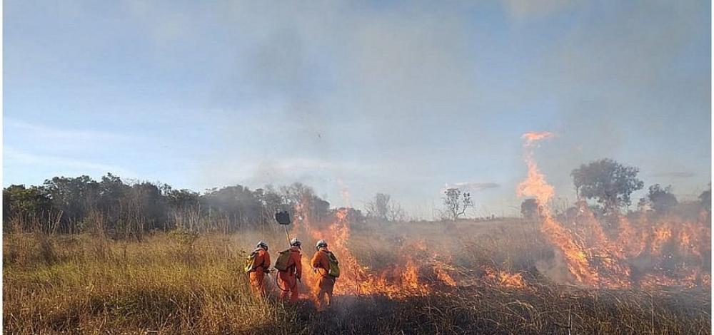 Bahia registra quase 3 mil focos de queimadas em 2020, diz Inpe