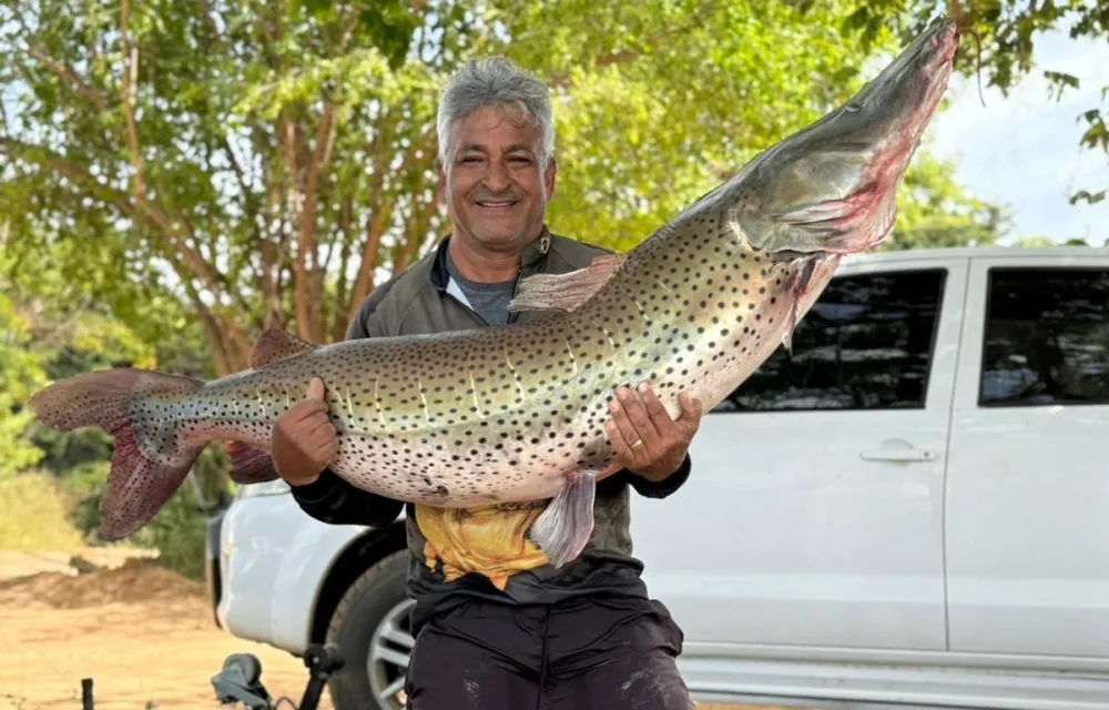 Pescador de Guanambi fisga surubim de quase 50 kg no Rio São Francisco