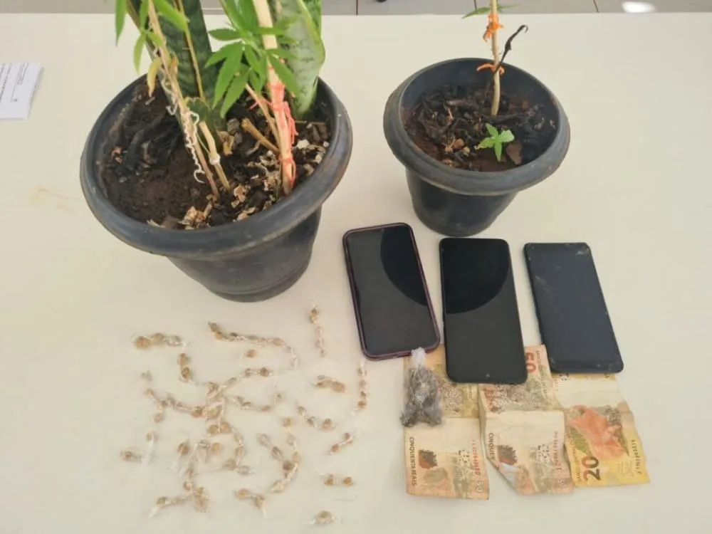 Suspeitos de tráfico são presos com pés de maconha e pedras de crack em Caetité