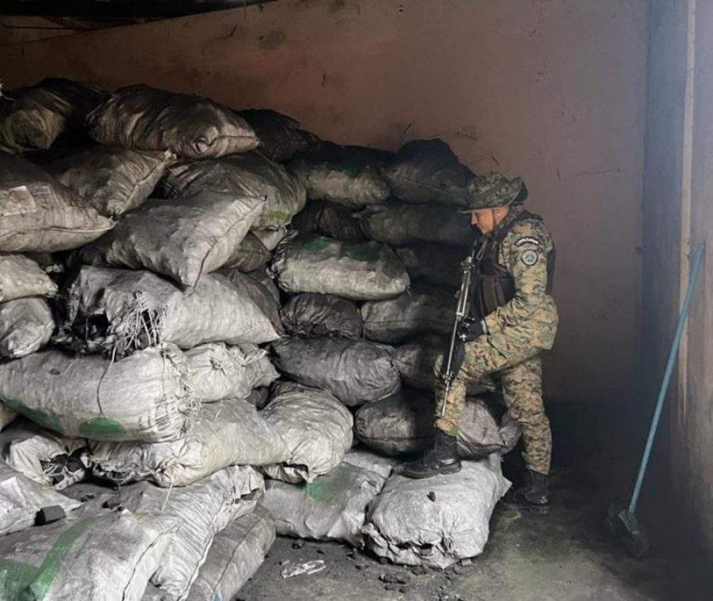 Cerca de 25 toneladas de carvão vegetal ilegal são apreendidas na Bahia