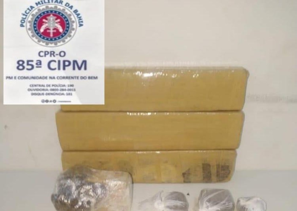 Tabletes de maconha são encontrados enterrados em chácara na Bahia 