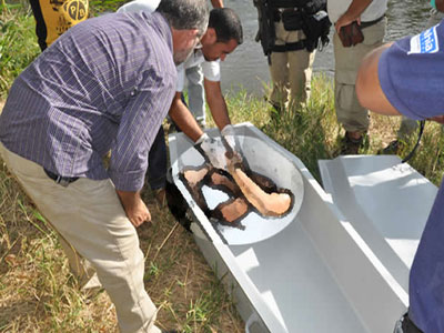 Familiares encontram restos mortais do PM esquartejado em Barreiras