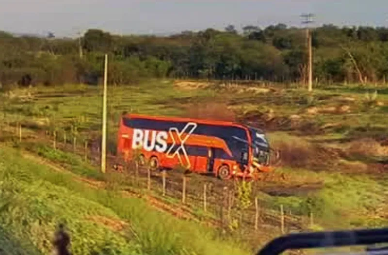 Ônibus cai em ribanceira e deixa três feridos na BR-242