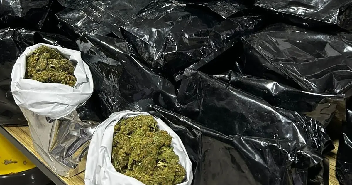 Homem capota carro com 45 kg de maconha na BR-101, em Itabuna