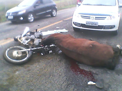 Poções: Colisão entre motos e cavalo deixa um homem morto na BA-262