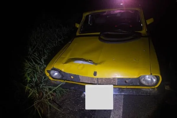 Mulher fica ferida após carro atingir animal na BR‑122, em Urandi