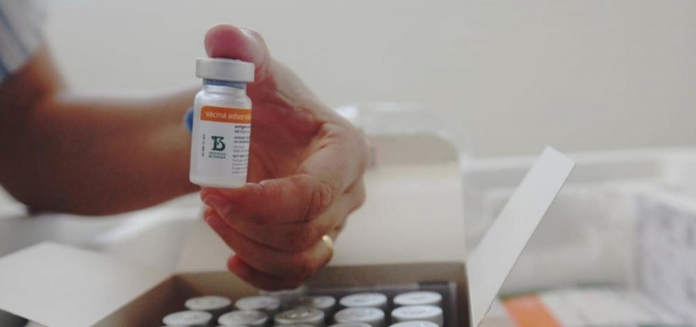 Área técnica da Anvisa recomenda o uso da Coronavac em crianças de 6 a 17 anos