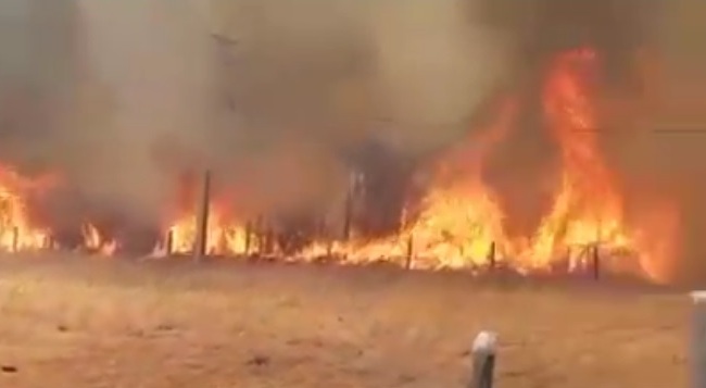 Incêndios são registrados em Matina e Palmas de Monte Alto